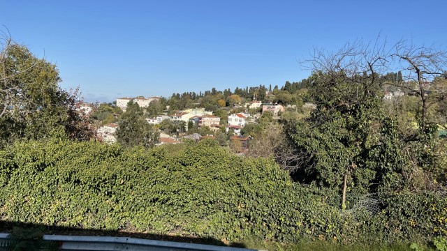IMG 0810