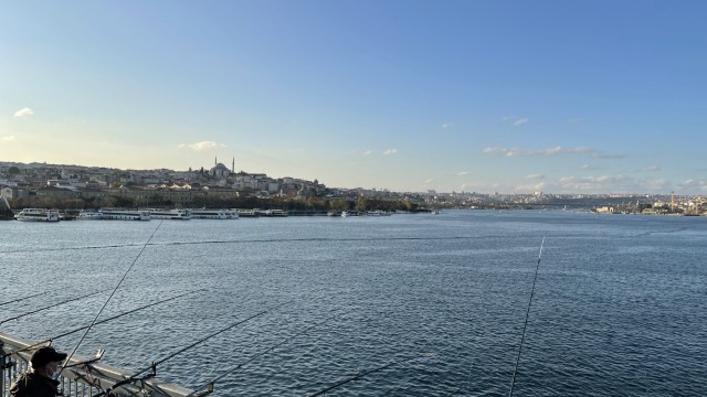 IMG 0886