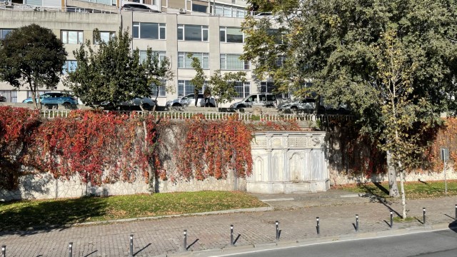 IMG 1103