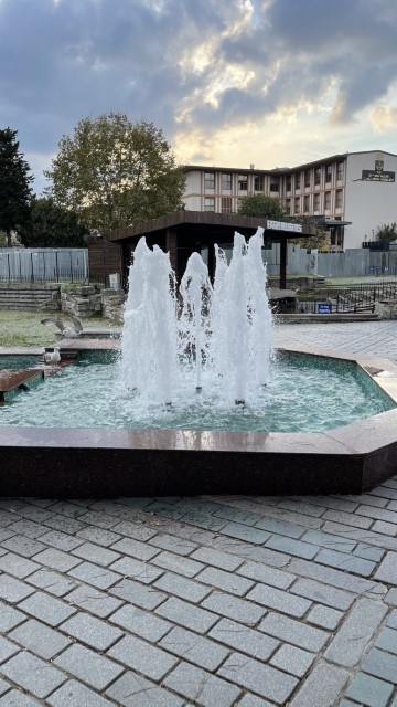 IMG 1327