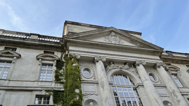 IMG 4524