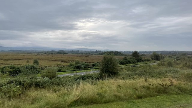 IMG 6020