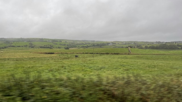 IMG 6042