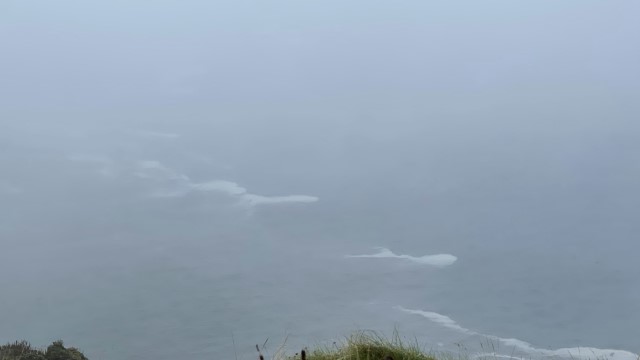 IMG 6084