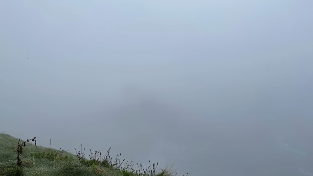 IMG 6115