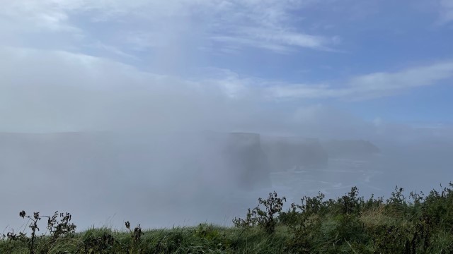IMG 6145