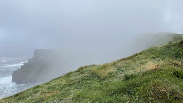 IMG 6221