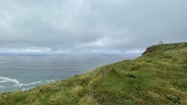 IMG 6273