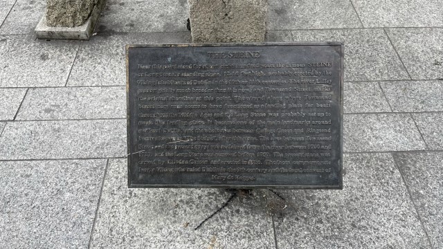 IMG 5831