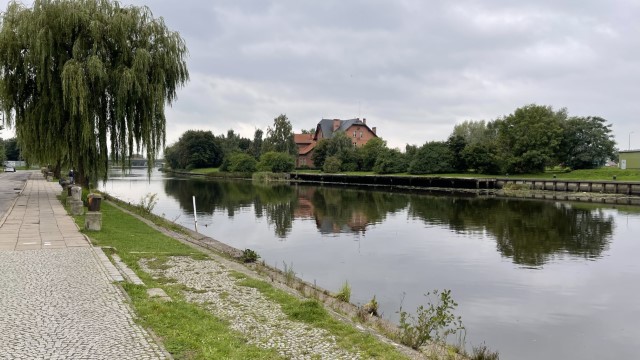 IMG 7761