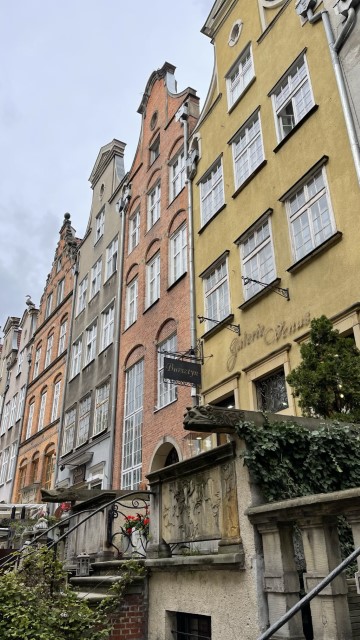 IMG 7062