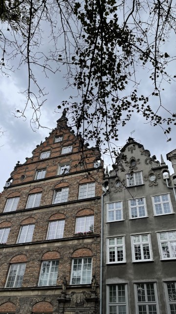 IMG 7071
