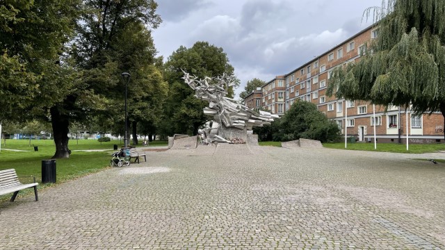 IMG 7081