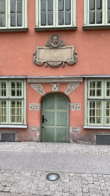IMG 7113