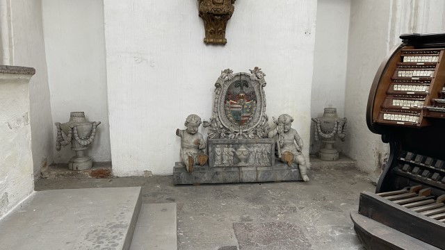 IMG 7135