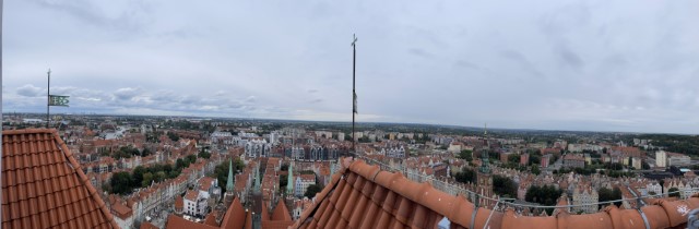 IMG 7195