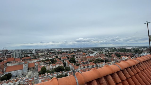 IMG 7210