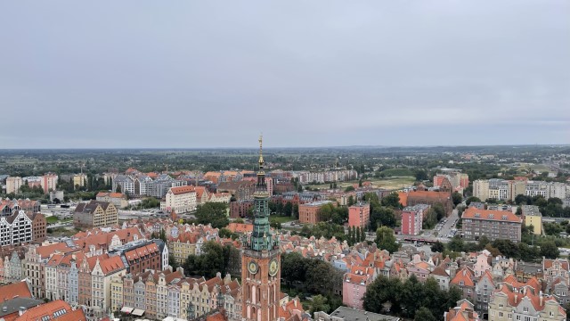IMG 7230