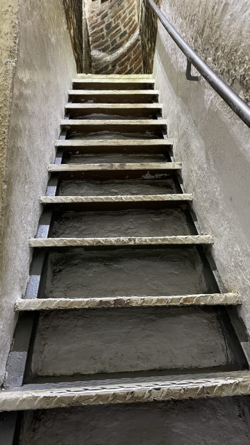 IMG 7253