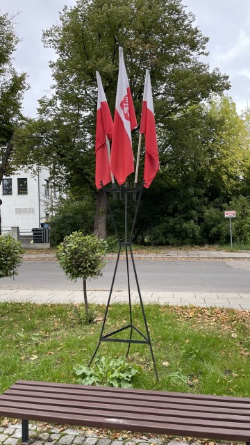 IMG 7499