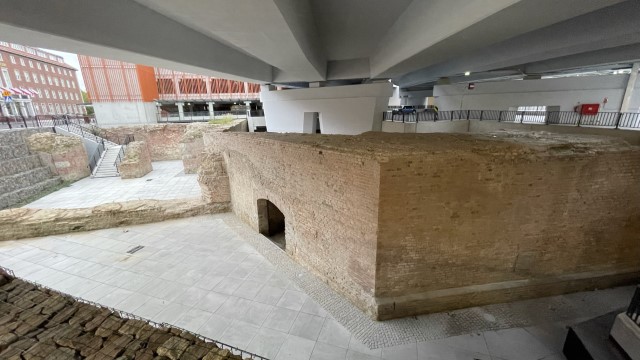 IMG 7507