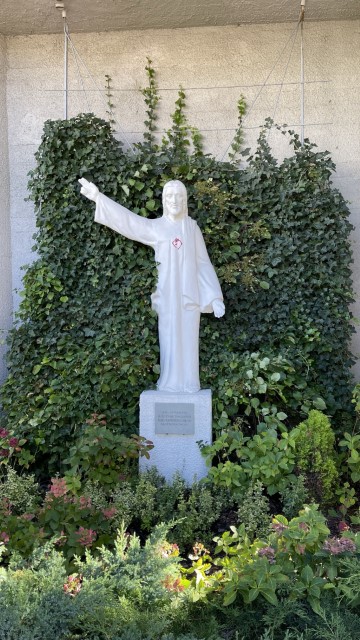 IMG 7868