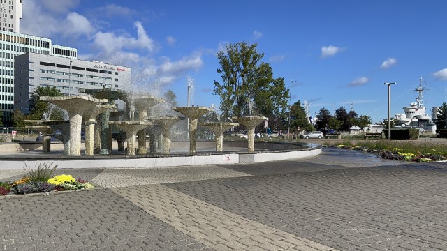 IMG 7960