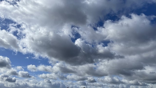 IMG 7973