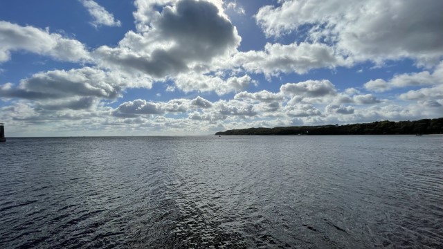 IMG 7975