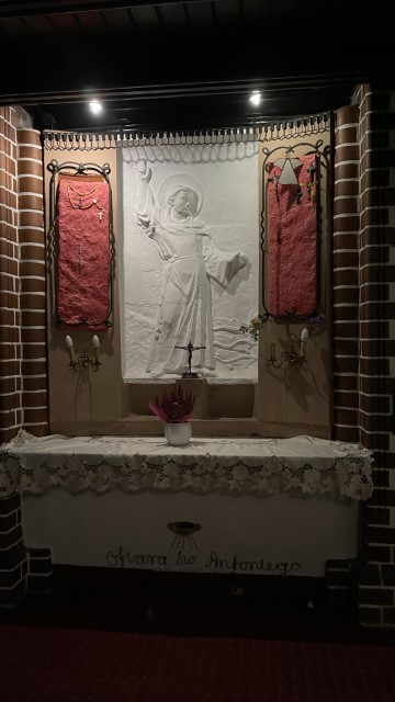 IMG 7351
