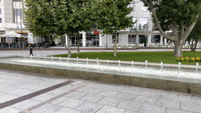 IMG 7377