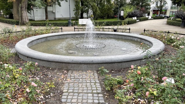 IMG 7424
