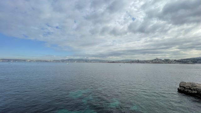 IMG 8826