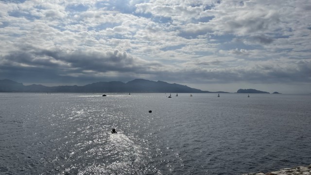 IMG 8890