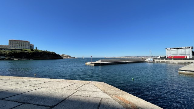 IMG 8511