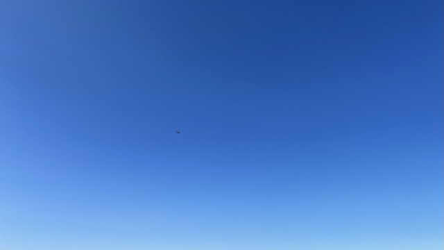 IMG 8597