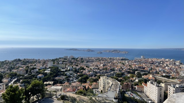 IMG 8664
