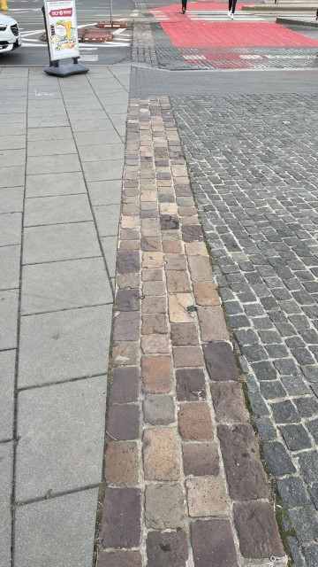 IMG 0090