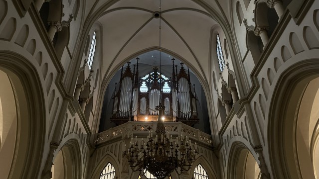 IMG 0221