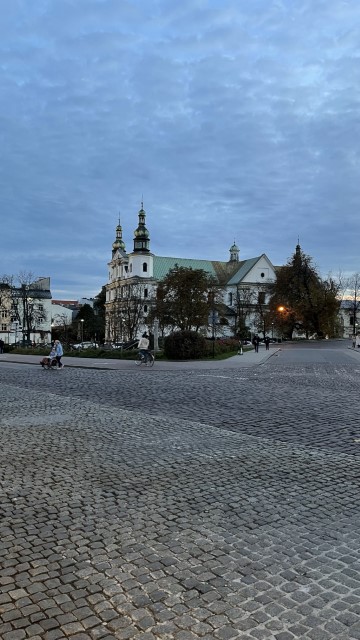 IMG 9890