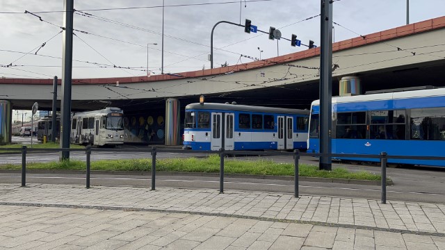 IMG 9948