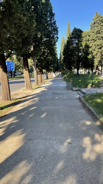 IMG 0382
