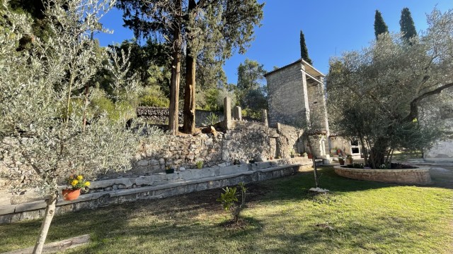 IMG 0390