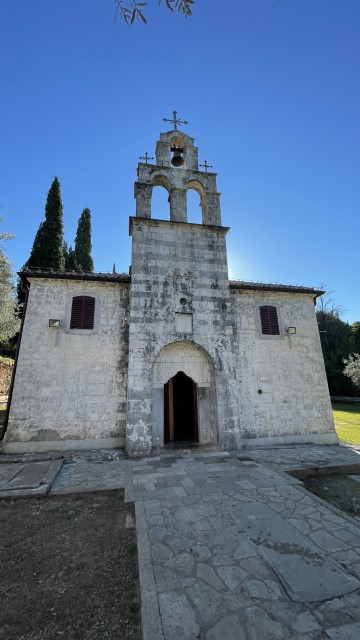 IMG 0395
