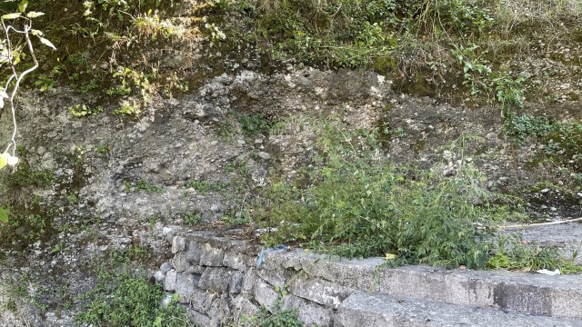 IMG 0521