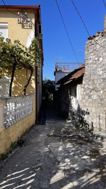IMG 0526