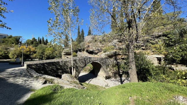 IMG 0548
