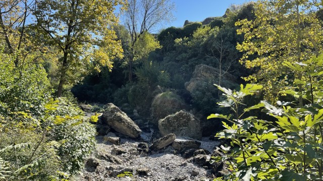 IMG 0587