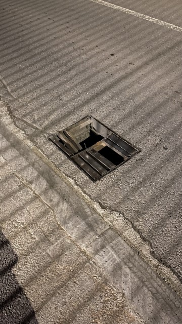 IMG 0750