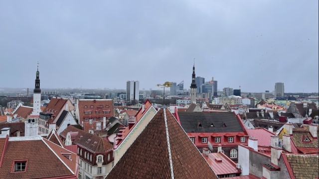 IMG 2602